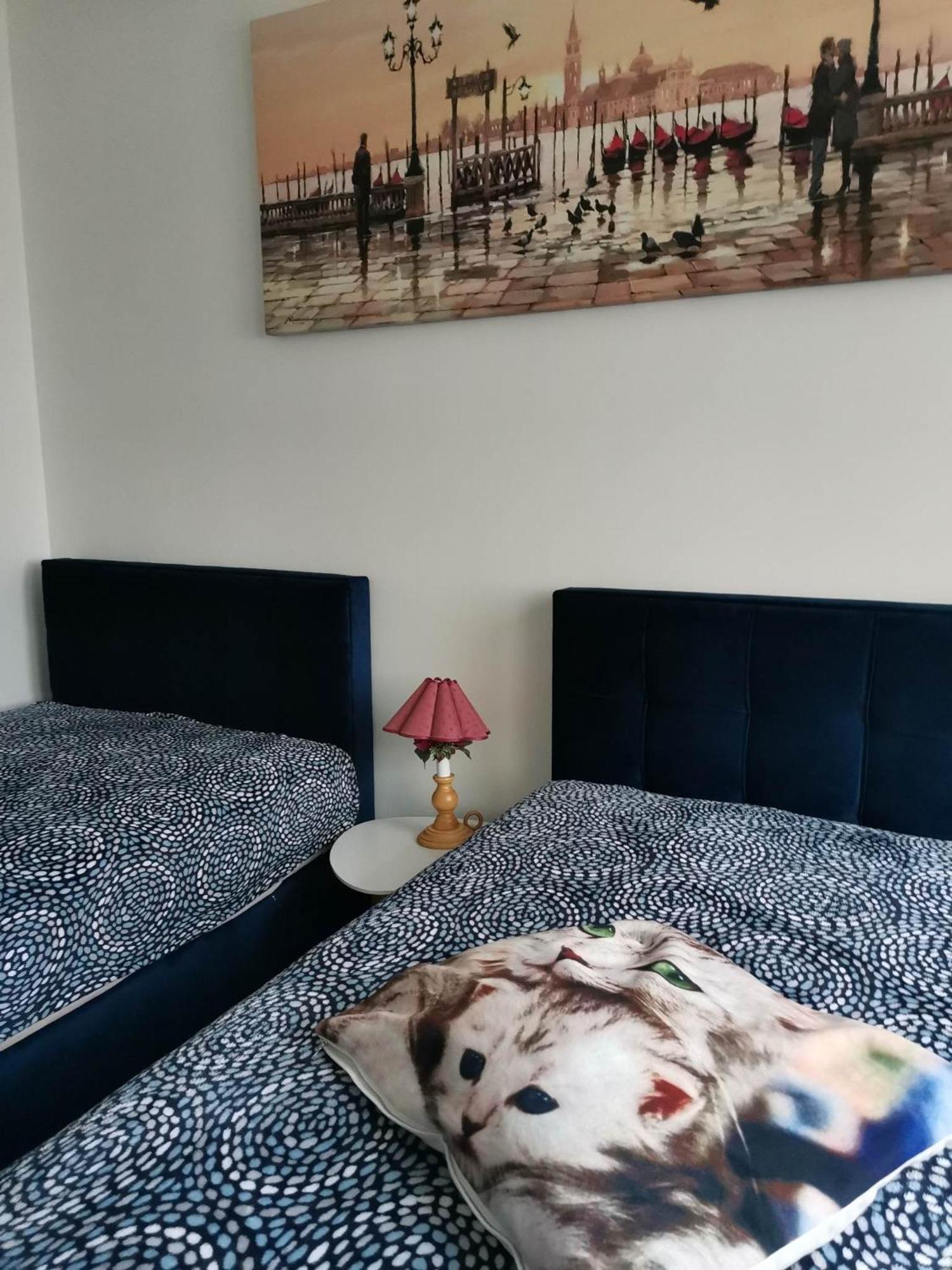 Butas Senamiestyje Vytauto 7-4 Apartman Rokiskis Kültér fotó